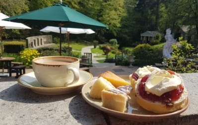 Tea and scone outside cafe and picnic tables at Vindolanda