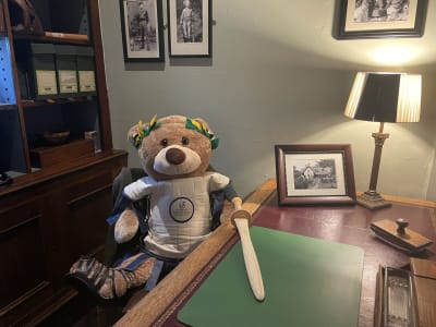 Teddy bear emperor sat in museum study.