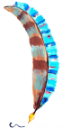 Bright painted feather in blue and brown and orange
